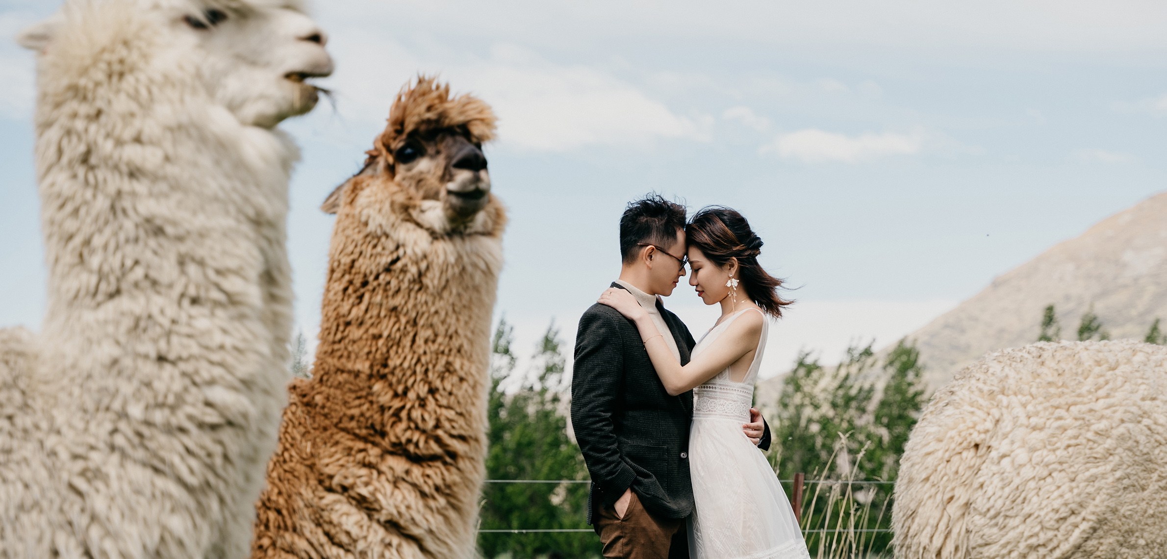 澳大利亚婚纱旅拍,新西兰婚纱摄影,新西蘭婚紗旅拍,新西兰婚纱照,新西兰婚纱旅拍,新西蘭婚紗照
