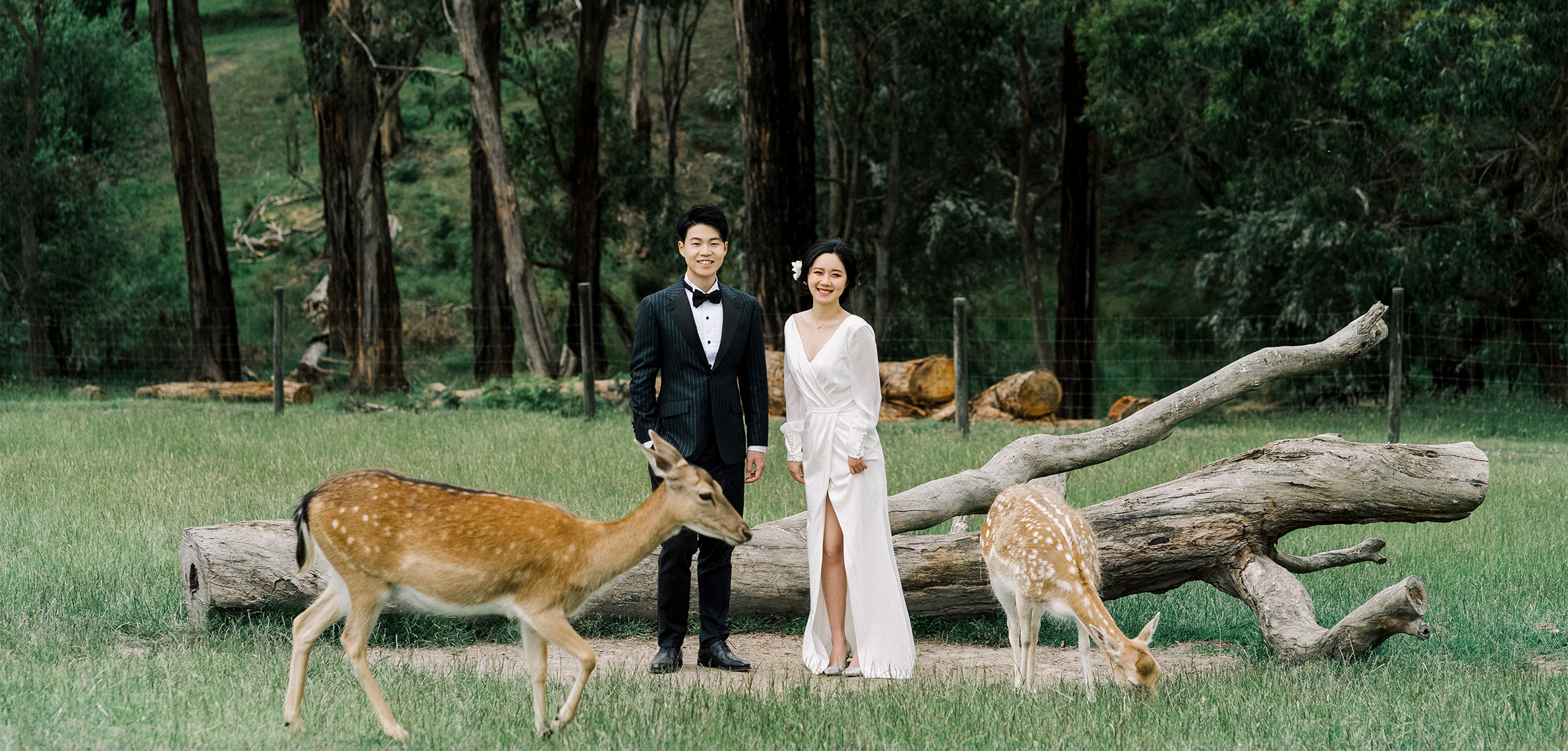 墨尔本婚纱照,澳大利亚婚纱旅拍,澳大利亚婚纱摄影,墨爾本婚紗攝影,墨爾本婚紗照,悉尼婚纱摄影,悉尼婚纱照,墨尔本婚纱旅拍